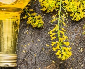 RAPE OIL