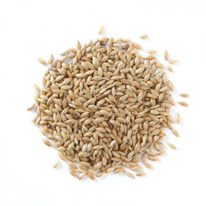 Canary Seeds