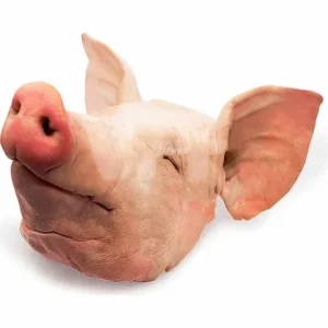 Frozen Pork Head