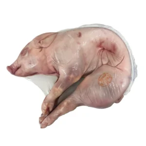 Frozen Whole Suckling Pig