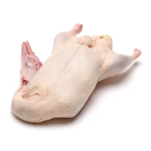 Halal Frozen Duck